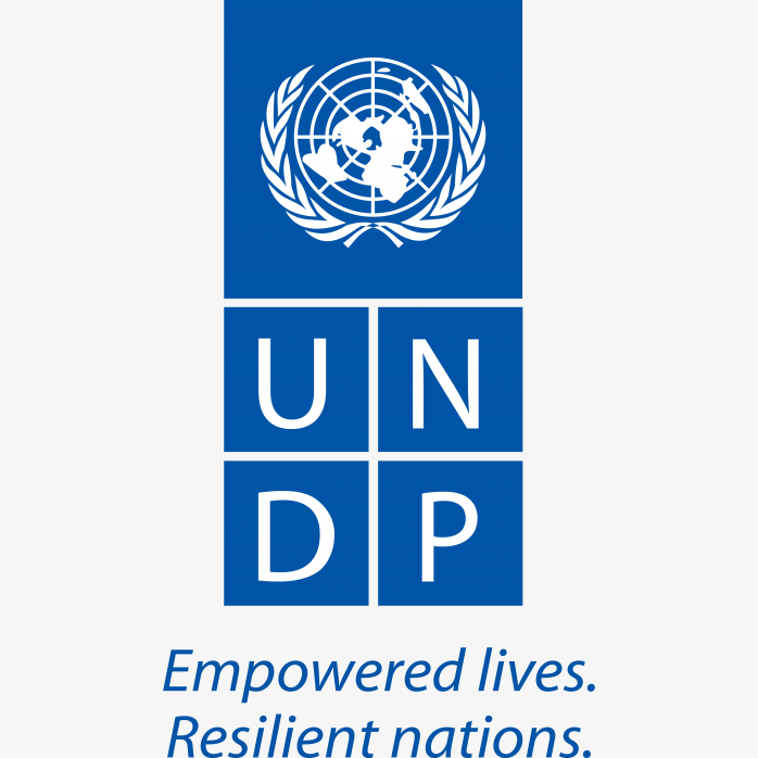 联合国开发计划署 (UNDP)