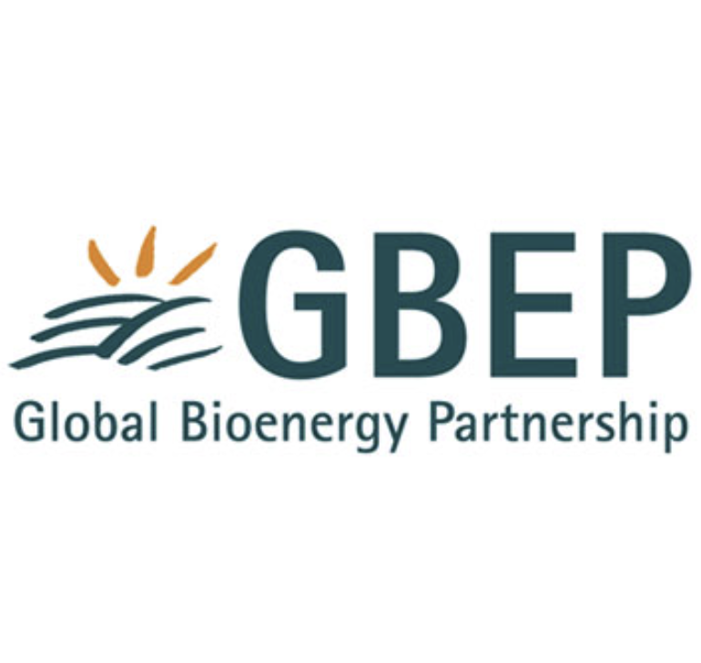 全球生物能源合作伙伴