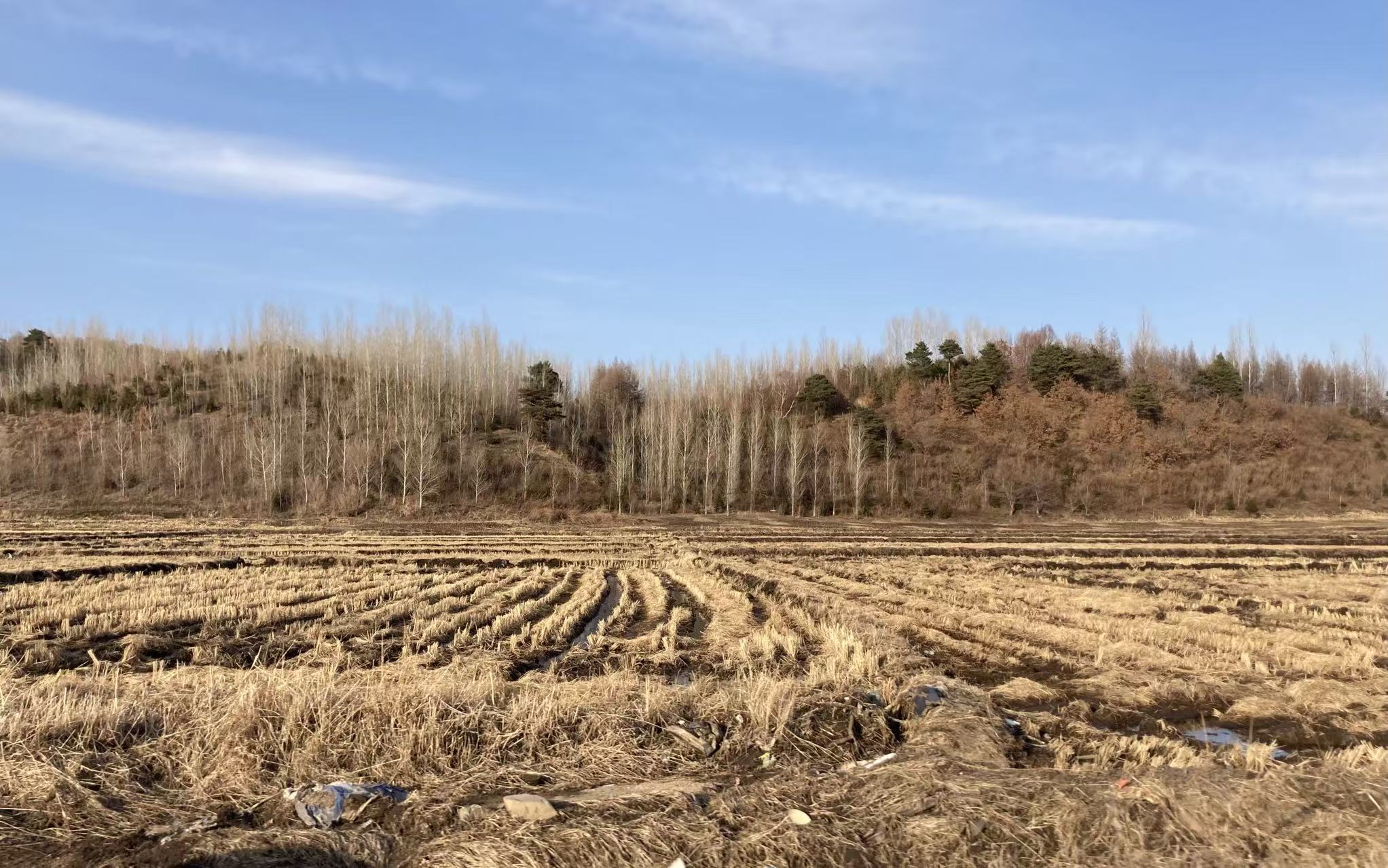愿景与目标